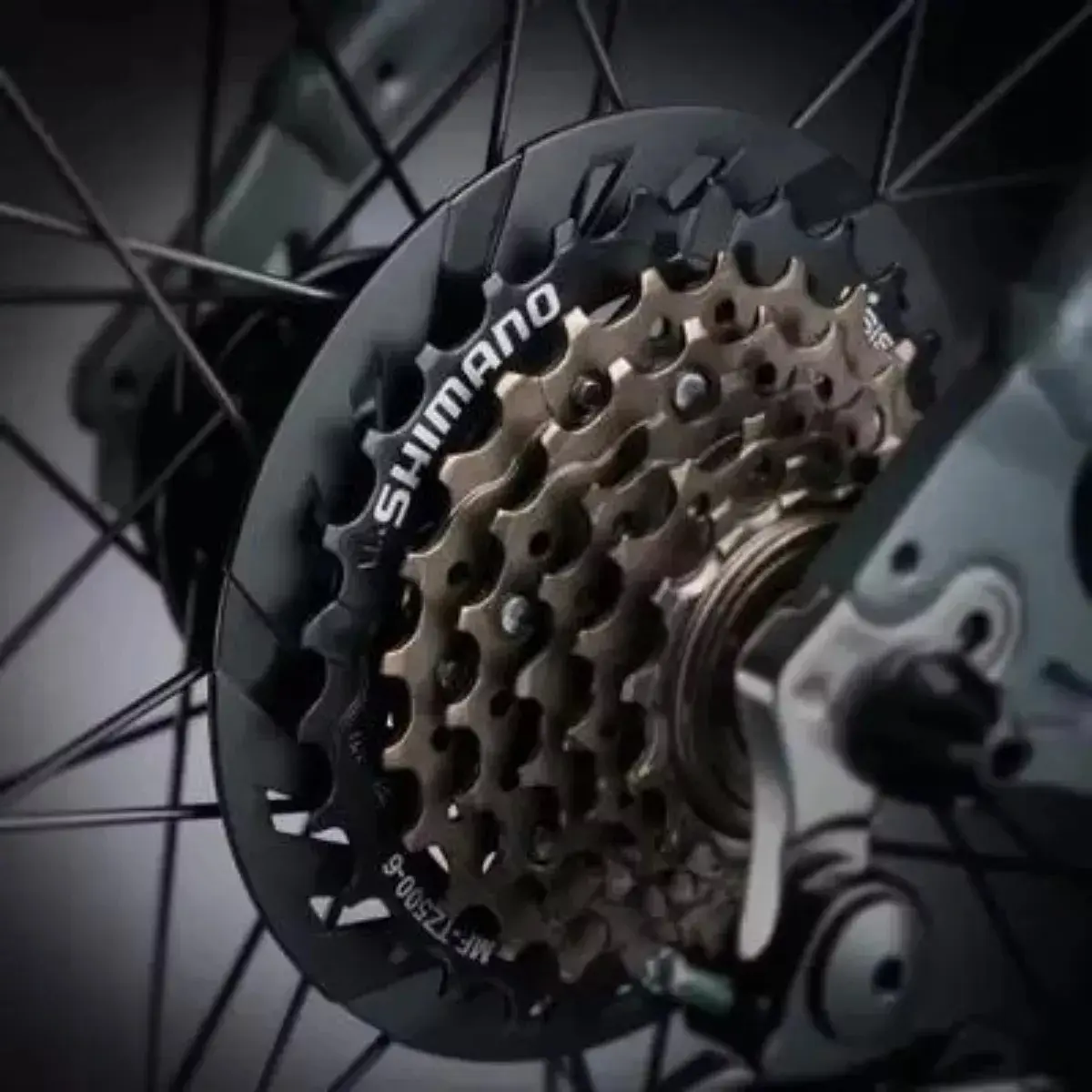 Design sem nome (43) Catraca Roda Livre Bike Shimano Tz500 7v Rosca 14/28d Mtb Cor Dourado Quantidade máxima de dentes 28 Quantidade mínima de dentes 14 - Imagem 2